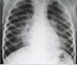 微信图片_20191030170348