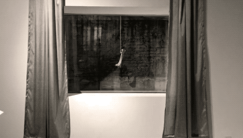 微信图片_20191216100345