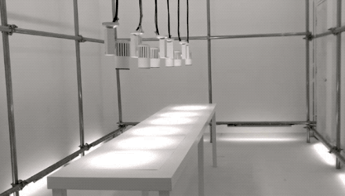 微信图片_20191216100533